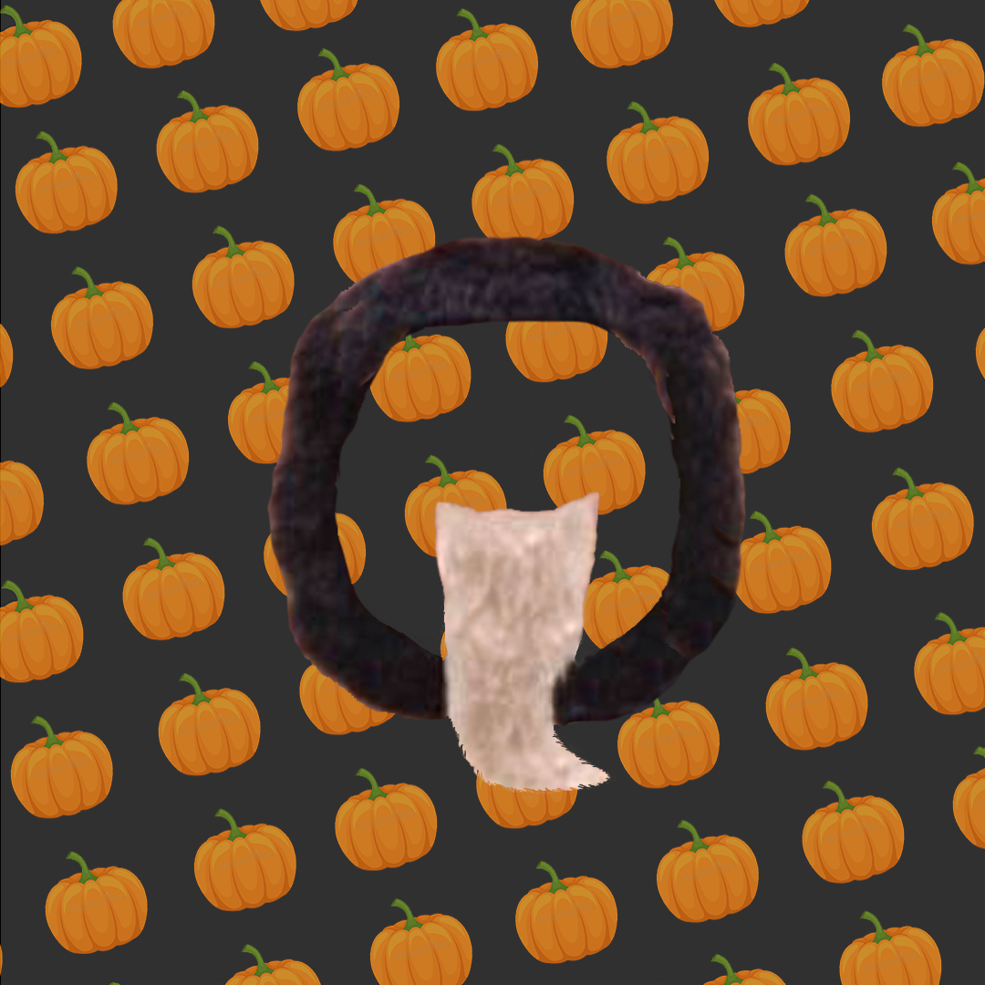 Guy Fieri Halloween Costume - 2012 - MattDoc.com - Travel